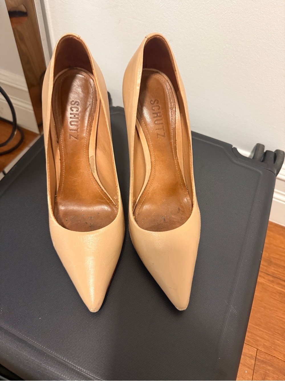 SCHUTZ Beige Pointed-Toe Leather Pumps